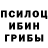 Галлюциногенные грибы Psilocybe Ser Arkad