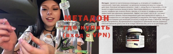 прущие грибы Балабаново