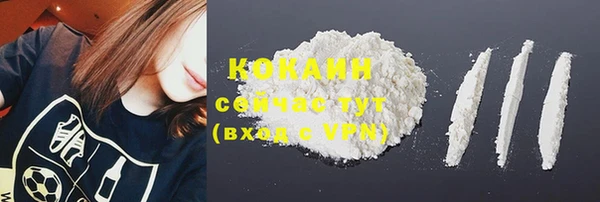прущие крисы Балахна