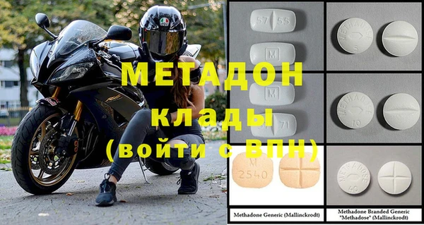 прущие грибы Балабаново