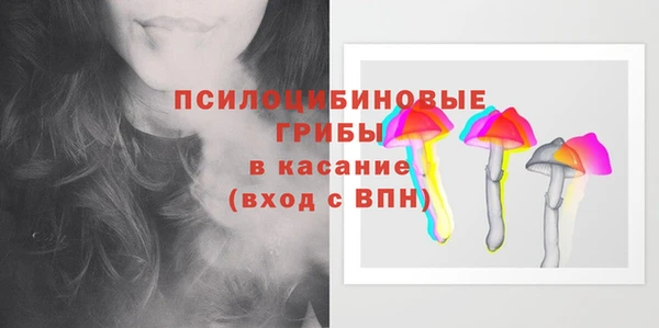 прущие грибы Балабаново