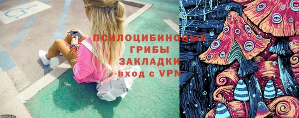 индика Уссурийск